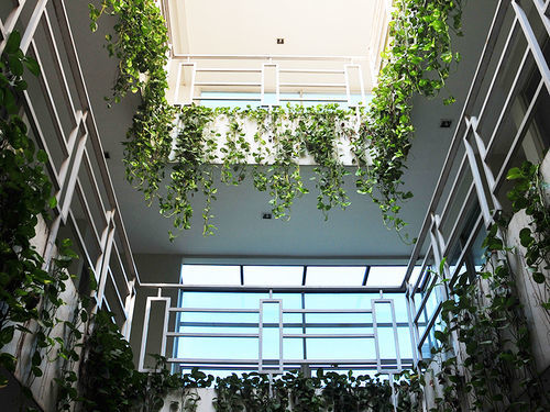 Legreen Suite Tondano Jakarta Exterior foto